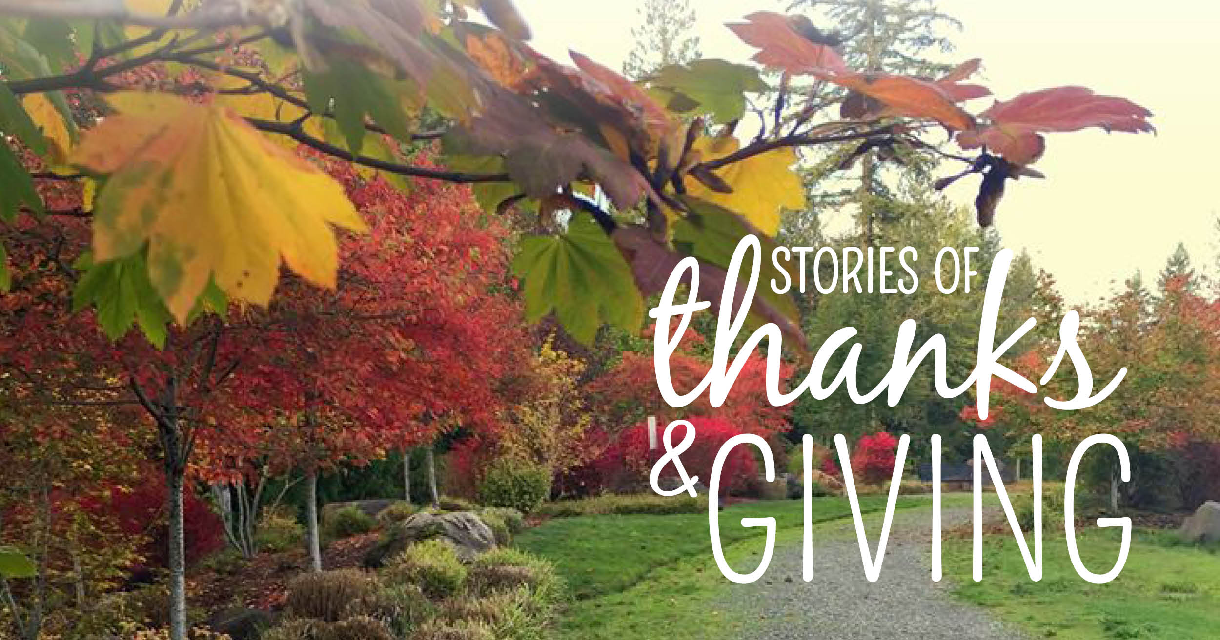 Stories of Thanks & Giving Friendsgiving