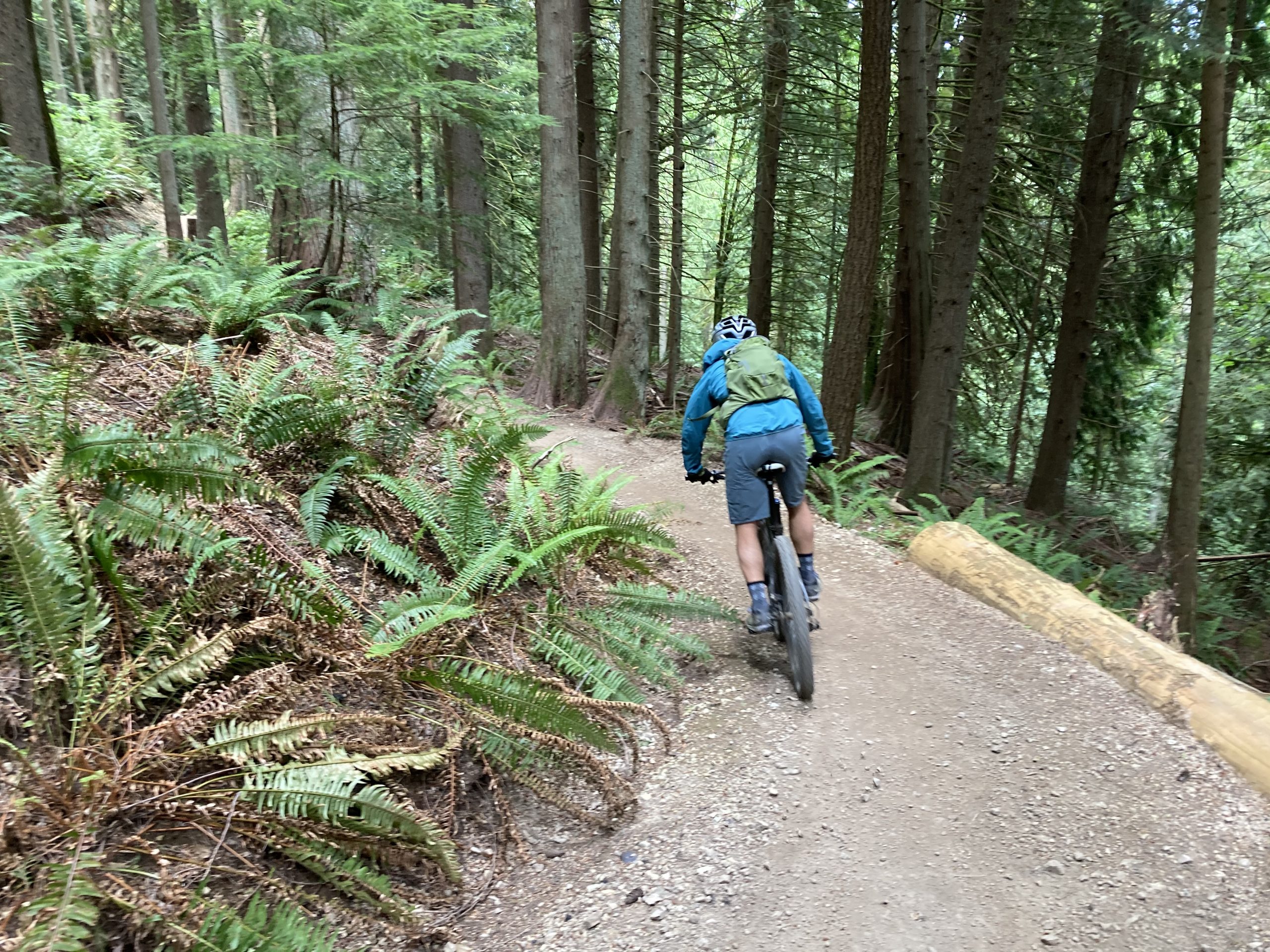 Kevin Burchett Spruce Coaster Trail