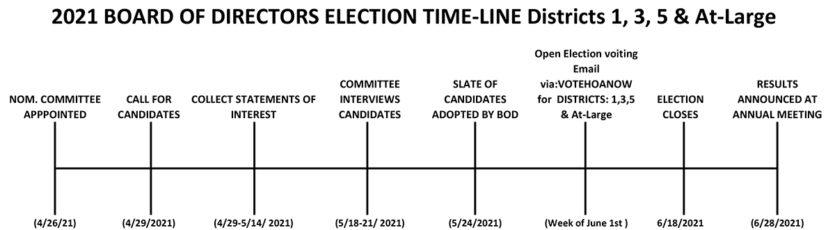 IHCA 2021 BOD Election Timeline