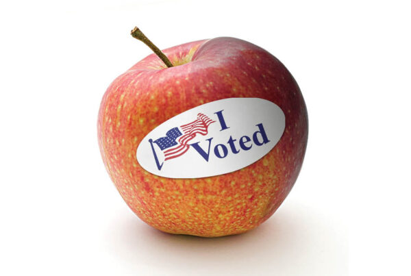I voted sticker on an apple