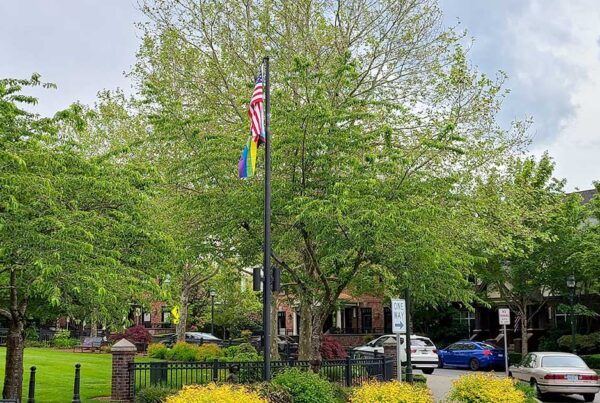 Image: Pride flag
