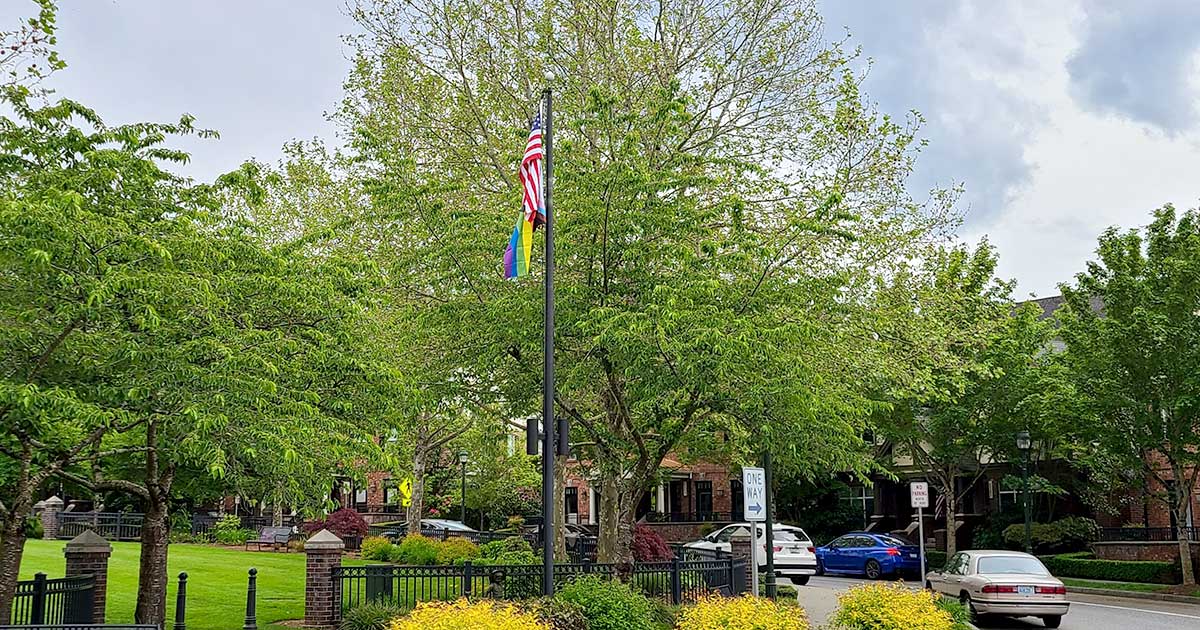 Image: Pride flag